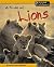 A Pride of Lions (Animal Groups)