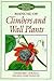 Manual of Climbers and Wall Plants (New Royal Horticultural Society Dictionary)