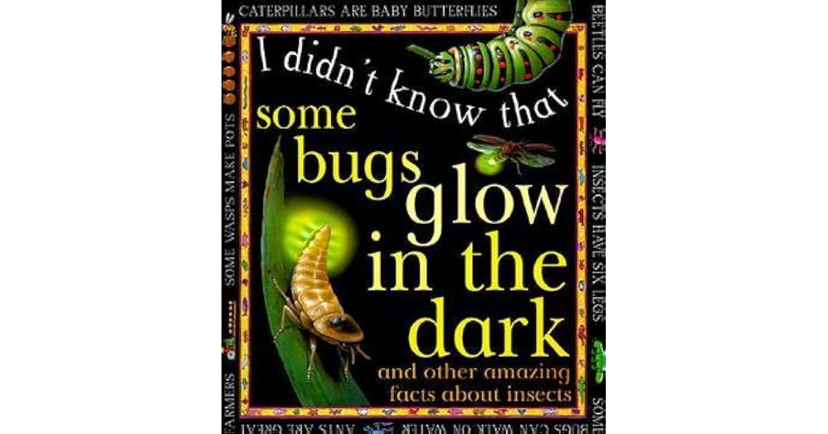 Some Bugs Glow in the Dark by Claire Llewellyn