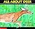 All About Deer