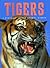 Tigers: A Portrait of the Animal World