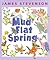 Mud Flat Spring