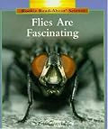 Flies Are Fascinating