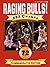 Raging Bulls!: Nba Champs