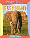 Elephant (Wild Animals)