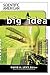 The Big Idea