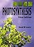 Photosynthesis: Molecular, Physiological and Environmental Processes