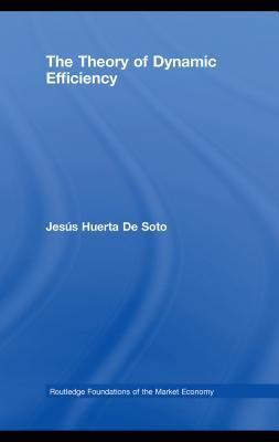 The Theory of Dynamic Efficiency (Kindle Edition)