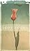 Love Poems by Penguin Books
