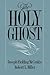 The Holy Ghost by Joseph Fielding McConkie