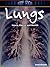 Lungs: Injury, Illness and ...