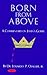 Born from Above: A Commentary on John's Gospel