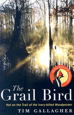 The Grail Bird: Hot on the Trail of the Ivory-billed Woodpecker (Hardcover)