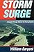 Storm Surge: A Coastal Vill...