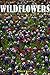Wildflowers: A Portrait of ...