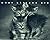 What Kittens Are