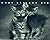 What Kittens Are by Sharon Beals