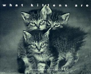 What Kittens Are (Hardcover)