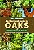 An Illustrated Guide to Oaks