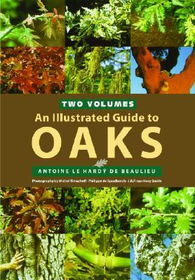 An Illustrated Guide to Oaks (Hardcover)