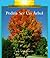 Podria Ser UN Arbol/It Could Still Be a Tree (Rookie Read-About Science) (Spanish Edition)
