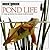 Look Closer: Pond Life