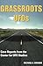 Grassroots UFOs: Case Reports from the Center for UFO Studies