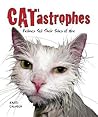 Catastrophe: Felines Tell Their Tales of Woe Catastrophe: Felines Tell Their Tales of Woe