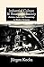 Industrial Culture and Bourgeois Society in Modern Germany by Jürgen Kocka