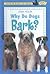 Why Do Dogs Bark