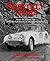 Spritely Years: Race and Rally Memories from the Classic Era Plus the Full History of the Sebring Sprite