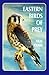Eastern Birds of Prey by Neal Clark