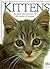 Kittens by Carey Scott