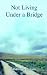 Not Living Under a Bridge by Robert L. Nelson