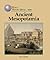 Ancient Mesopotamia (World History Series)