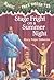 Stage Fright on a Summer Night by Mary Pope Osborne
