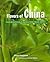 Flavors of China