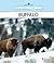 Buffalo (New True Books)