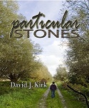 Particular Stones