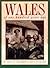 Wales of One Hundred Years Ago (Sutton Illustrated History Paperbacks)