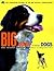 Big Dogs Little Dogs: The World of Our Canine Companions