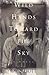 Wild Hands Toward the Sky