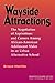 Wayside Attractions: The Negotiation of Aspirations and Careers Among African-American Adolescentmales in an Urban Alternative School (Understanding Education and Policy)