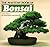 Masters' Book of Bonsai