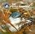The Little Blue Penguins (Y...