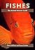 Fishes: The Animal Answer G...