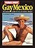 Gay Mexico