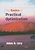 The Basics of Practical Optimization