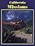California Missions by Barbara Hanley