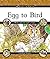 Egg to Bird (Cycles of Life)